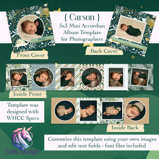 CARSON 3x3 DINOSAUR Mini Accordion Album Template For Photographers - PSD Files DIGITAL DOWNLOAD